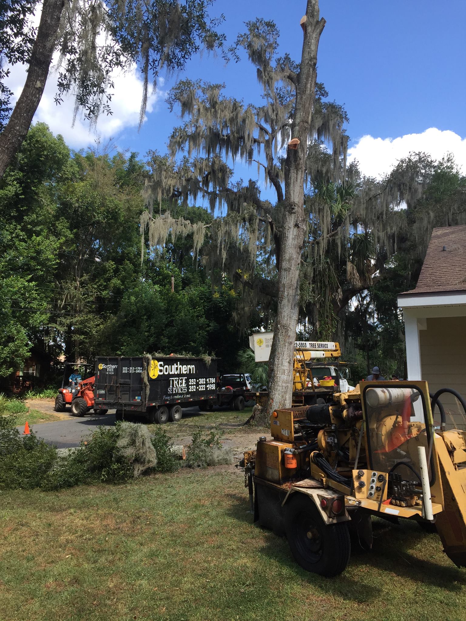 free tree removal in inverness florida